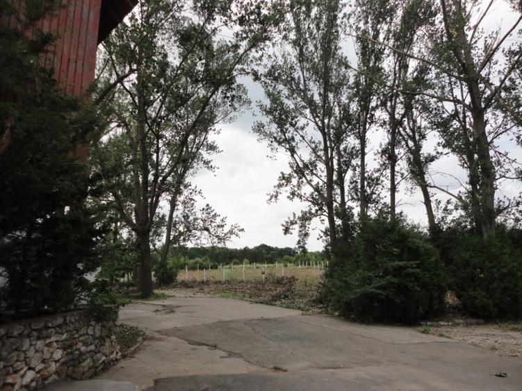 OPORTUNITATE - TEREN CAP AURORA - 2800 MP, FOARTE APROAPE DE MARE - 1