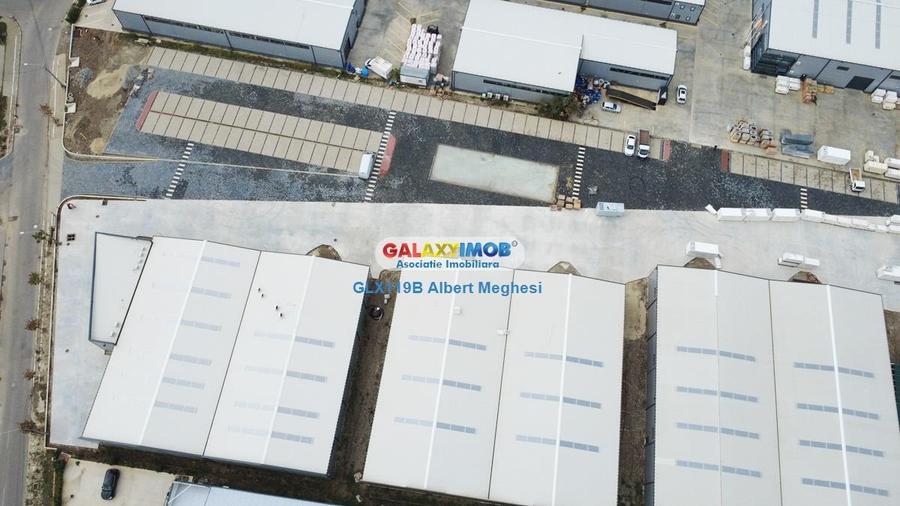 Hale Industriale Centura Rudeni Chitila Centura 415 mp/978 mp - 31