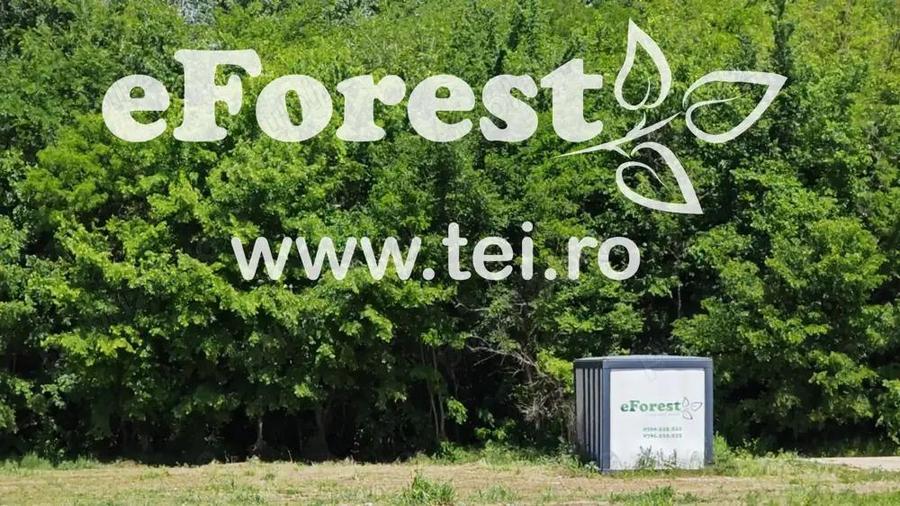 eForest teren rezidential in zona de padure, deschidere spre padure - 4