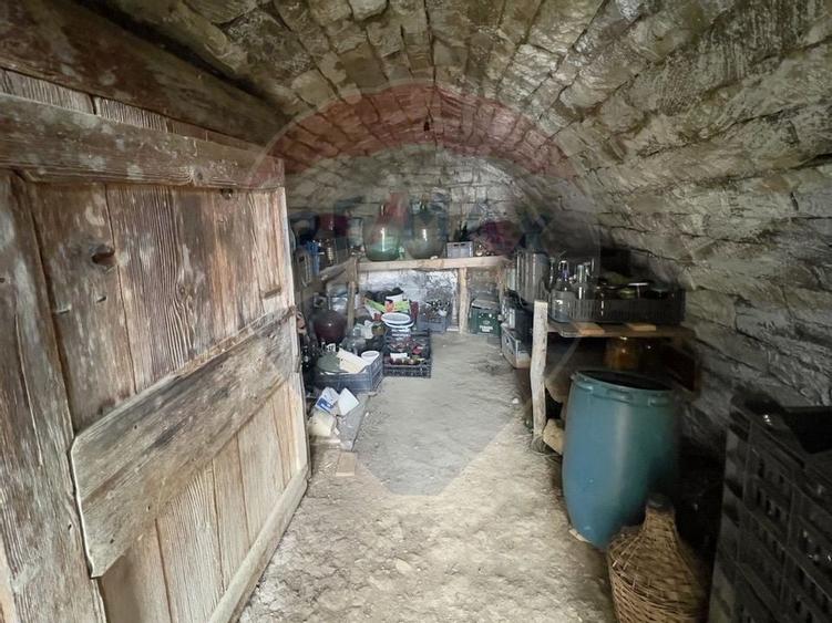 Casa cu 2 camere si teren 4887mp de vanzare in Dabaca - 3