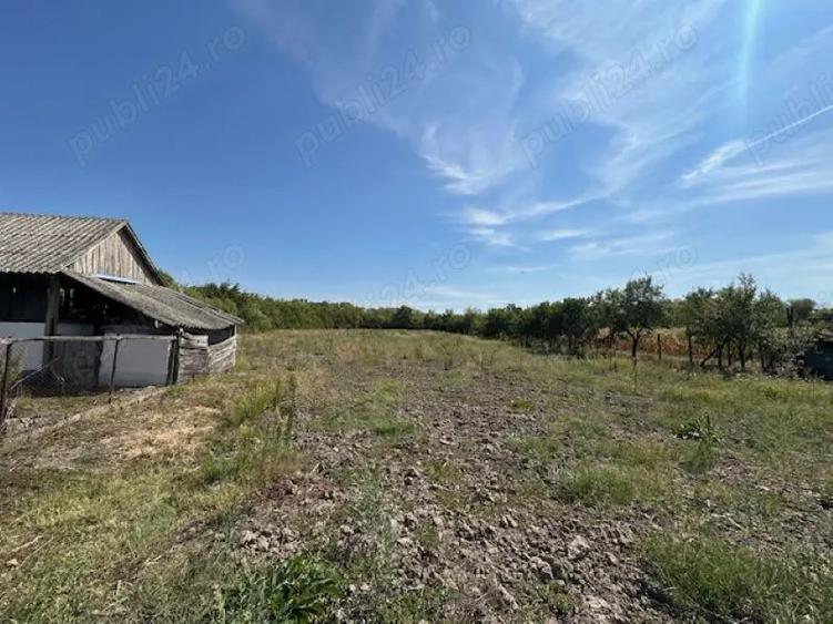 Casa cu teren de 6060 mp | LOC. BICACI | BIHOR - 8