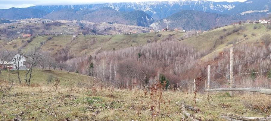 Teren Intravilan 4.608 mp in Sat Magura Priveli?te Panoramica Bucegi ?i Piatra Craiului - 2