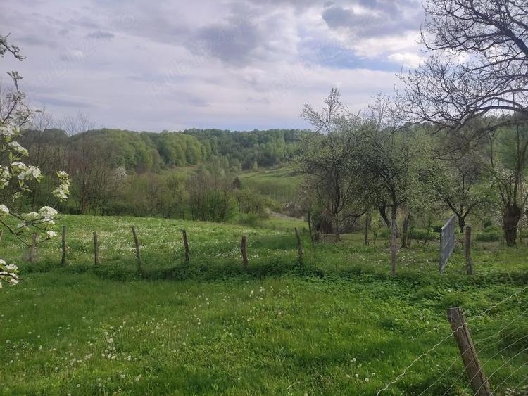 Vand casa batraneasca cu teren in apropiere de Pucioasa cu toate utillitatile - 1