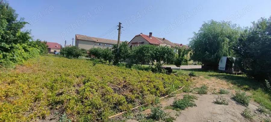 Teren intravilan Lovrin de vanzare - 5