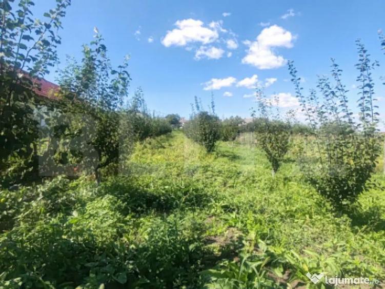 Casu?a tip foi?or, 30 mp, pe un teren de 3.000 mp, veder - 6