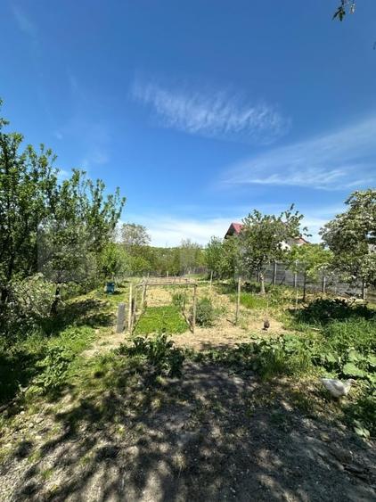 Casă de vânzare, 76 mp utili, teren 1.500 mp, vedere panoramică, zona Bucium - 2