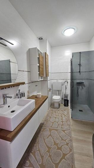 Apartament de inchiriat Drumul Taberei - 4