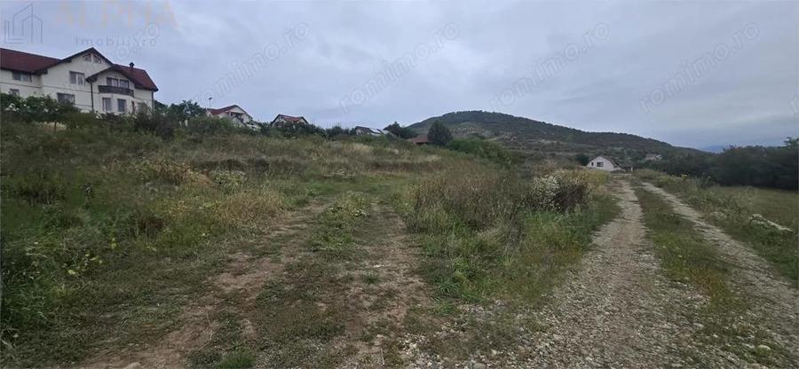 De vanzare teren intravilan Viisoara, Jud. Bistrita-Nasaud - 6