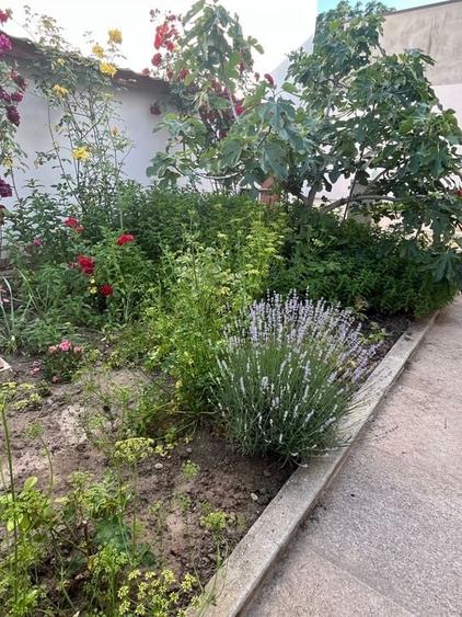 Casă zona ultracentrală - 4