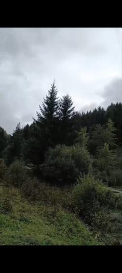 TEREN DORNA ARII - 8