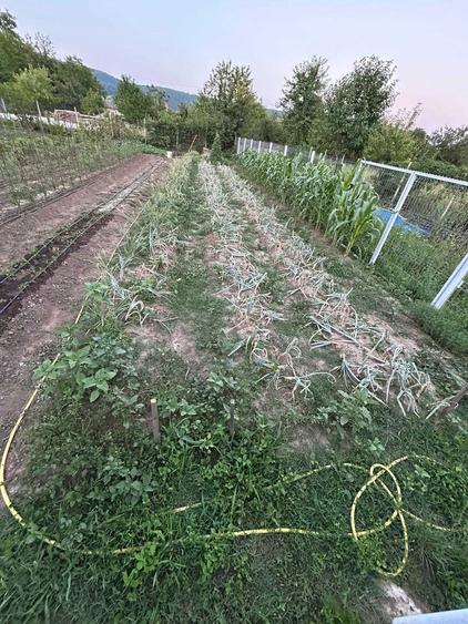 Teren intravilan peisaj superb - 3