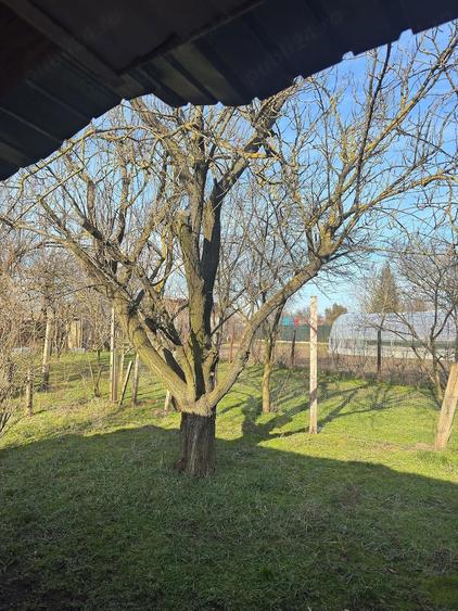 Casa cu teren1000mp - 5