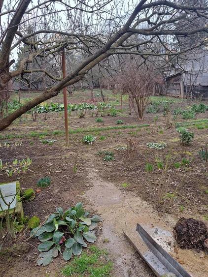 Casa de vanzare Micro 17 , pe un nivel , 199.000 euro negociabil - 7