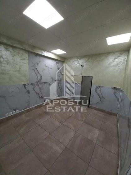 Spat?iu comercial de i^nchiriat Aurel Vlaicu - 4