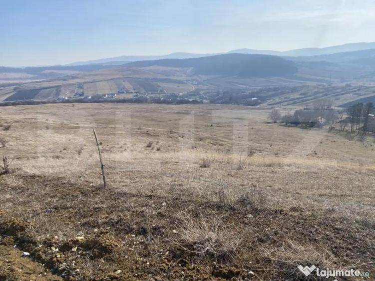 Teren extravilan in suprafata de 140551 mp in loc. Recea - 5