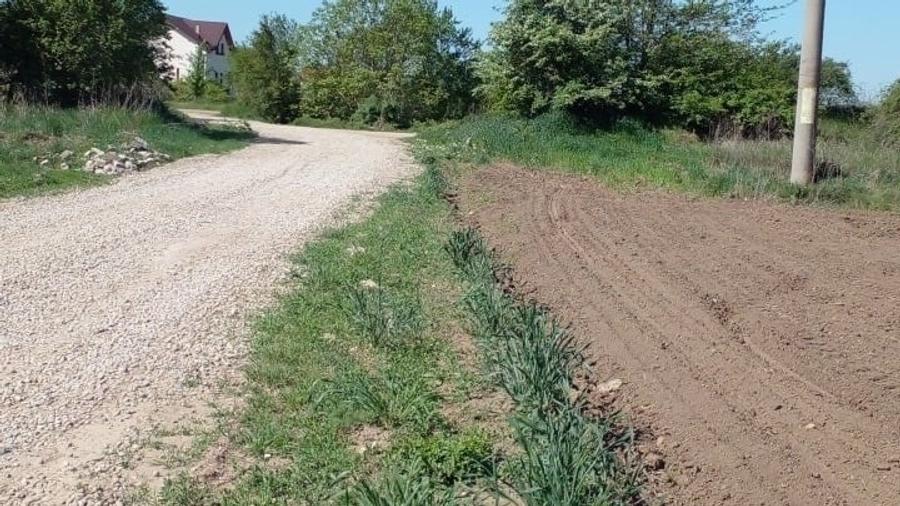 Teren Construcții extravilan de 4881 mp, în Corbeanca - 9