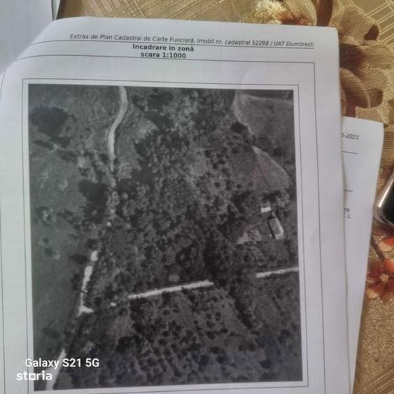 Teren Dumitresti - Fata 2.5 ha - 8