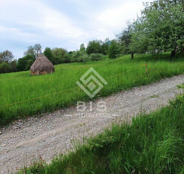 Teren 37.5 ari intravilan - 3