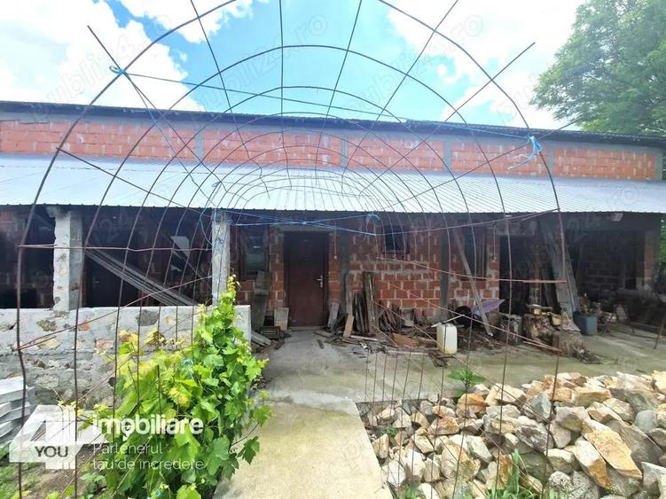 Casa in Loc. Pecica, teren 1602 mp, fs.17 ml, termoteca - 6