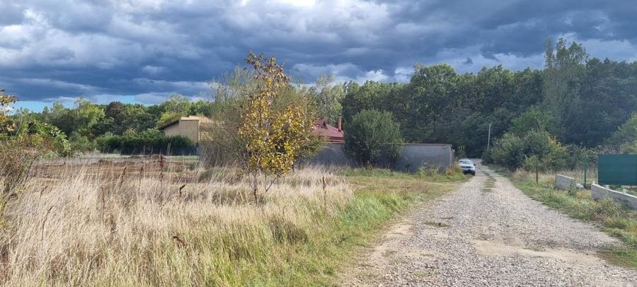 Lot Compact - Pretabil Lotizare - Dezvoltare proiect Vile - 2