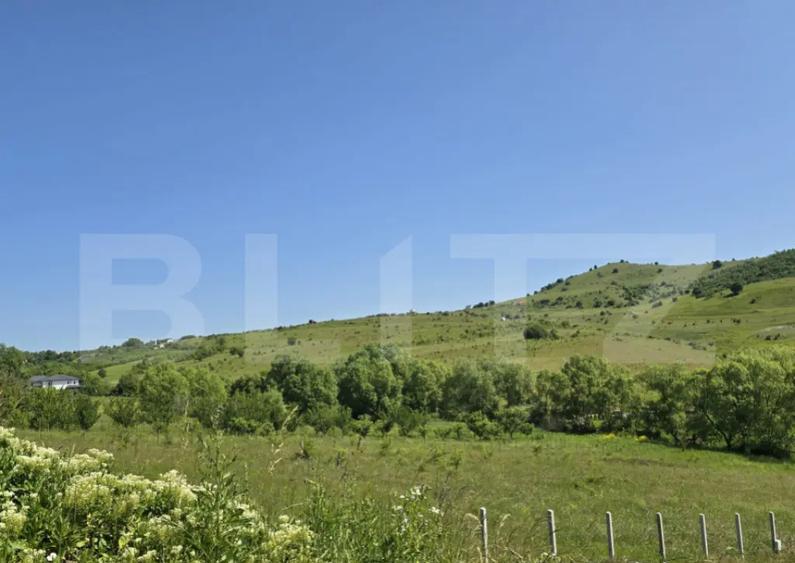 Teren intravilan construibil in Salicea - 1