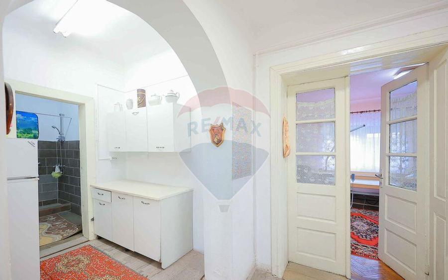 Casa cu 7 camere de vanzare, zona Parcul Salca, Cantemir - 14