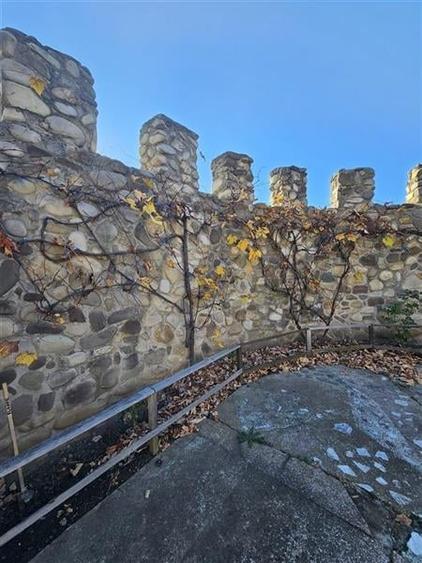 CLADIRI + 1 HA TEREN DE VANZARE PENTRU DEZVOLTARE BUSSINES - CAZARI, AGREMENT, A - 7