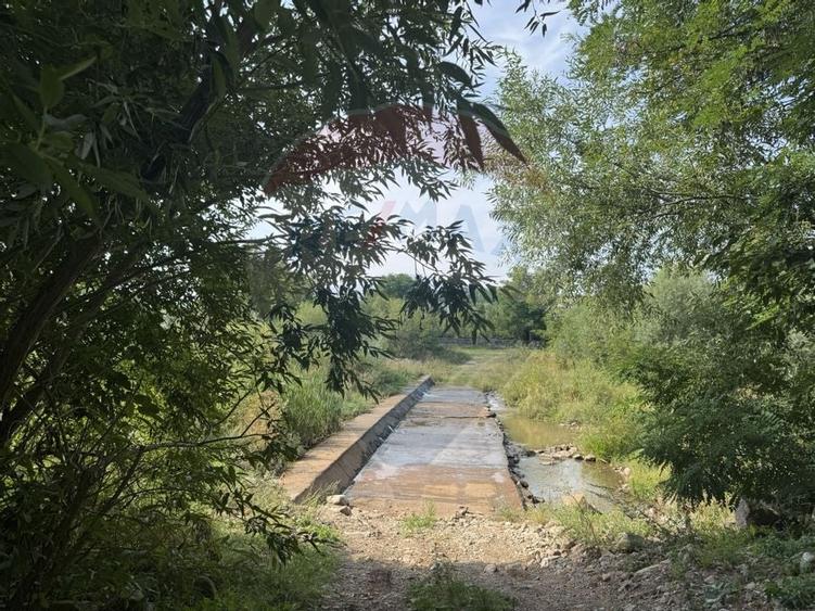 Teren 10.000 mp Calatele - Apuseni, langa rau, ideal investie turism - 21
