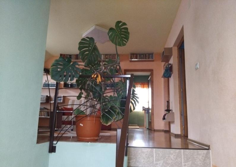 Proprietate cu 2 cladiri in Chisineu Cris - ID : RH-41243-property - 8