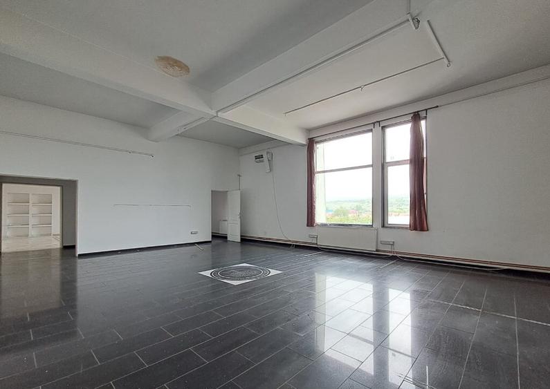 Spatiu comercial suprafete intre 130-87-217 mp zona Plevnei - 5