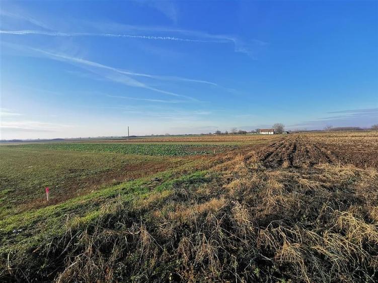 Teren intravilan in Bors cu front la 2 strazi. - 2