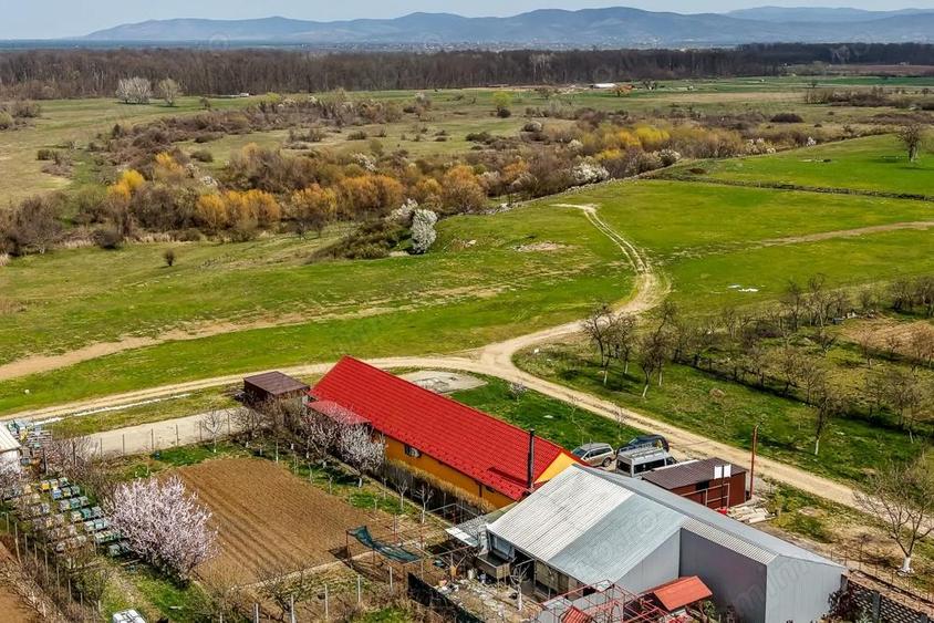 Casa moderna (2021) Priveli?te panoramica spre Lunca Mure?ului - 11
