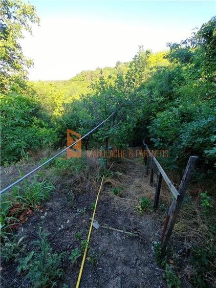 EXCLUSIVITATE! Casa+teren si cabana de lemn zona Naeni - 27