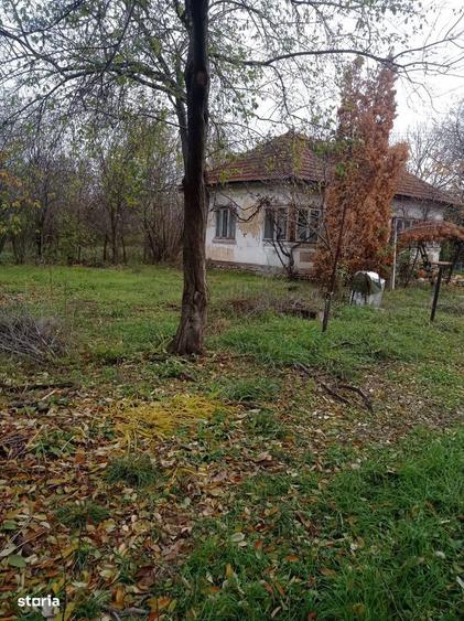 Vanzare teren 1200 mp si casa batraneasca Priseaca - 4
