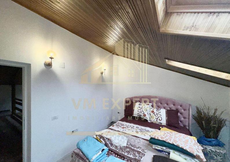 CASA 5 CAMERE 252 MP TEREN 1362 MP DRAGOSLAVELE ARGE? - 8