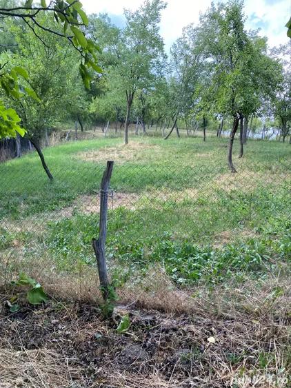 Vand casa Batraneasca - 9