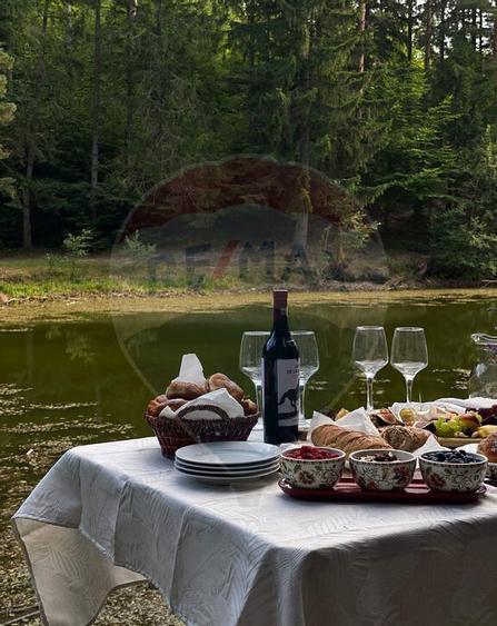 DE VANZARE Pensiune | 12 camere | Bisoca / Buzau - 2