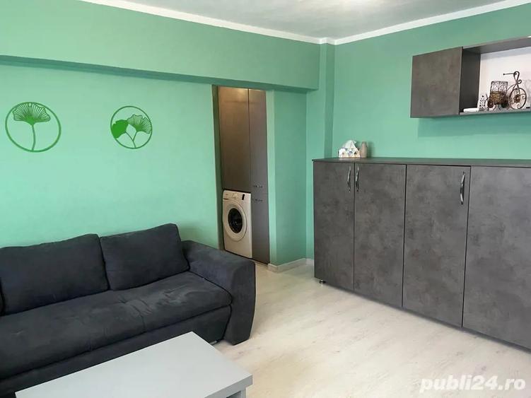 Malul Muresului,2 cam de inchiriat - 5