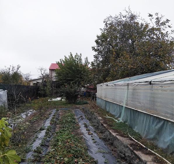 Vila Cu Teren 3.617 Mp, Dubla Deschidere Locuin?a +Investi?ie-Jilava - 11