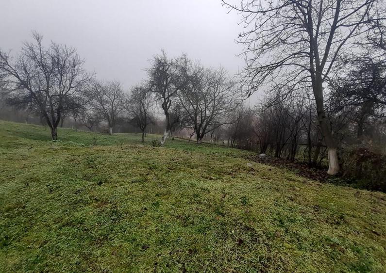 Baia Sprie, casa caramida, 9,4 ari teren - 2