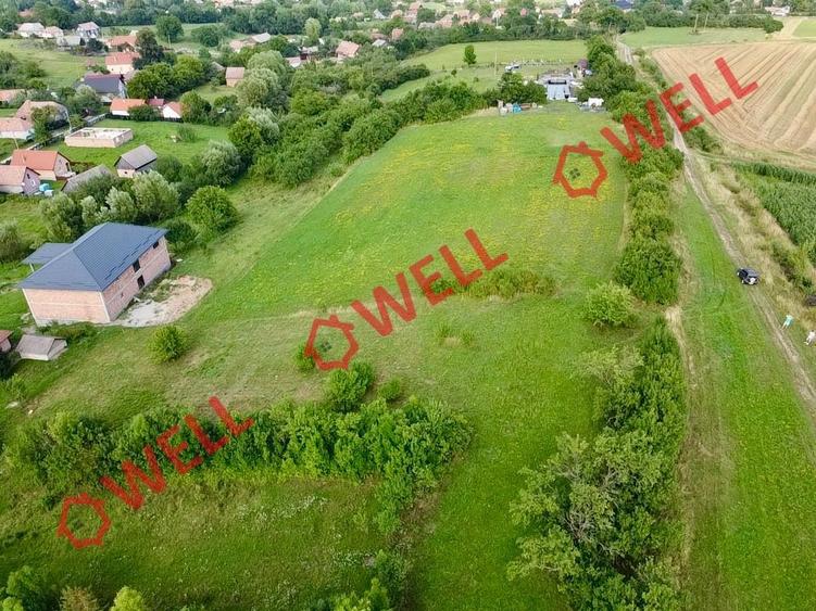 Teren intravilan de vânzare în Dalnic! - 8