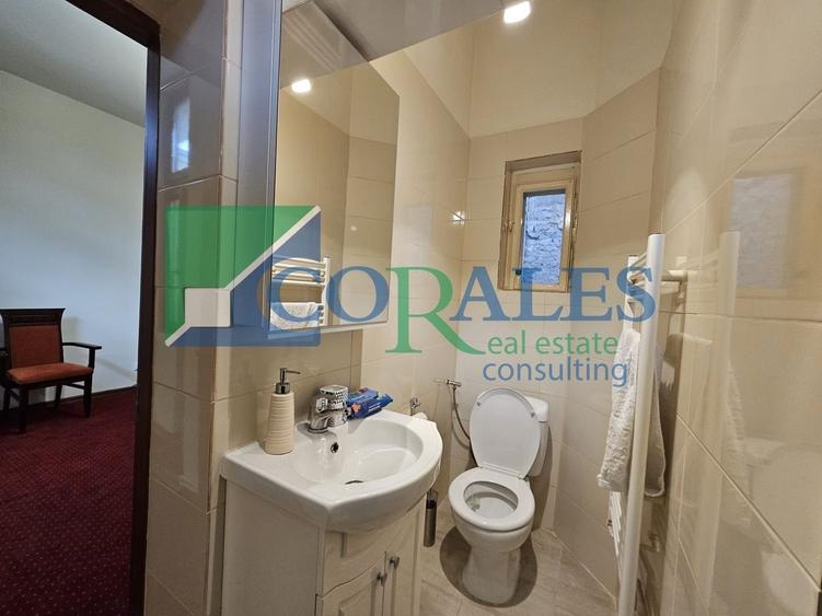 Piata Unirii. Strada pietonala. Cladire renovata! - 12