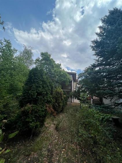 Vila individuala / S+P+1E+M /Iancu Nicolae-Zoo / necesita renovare - 7