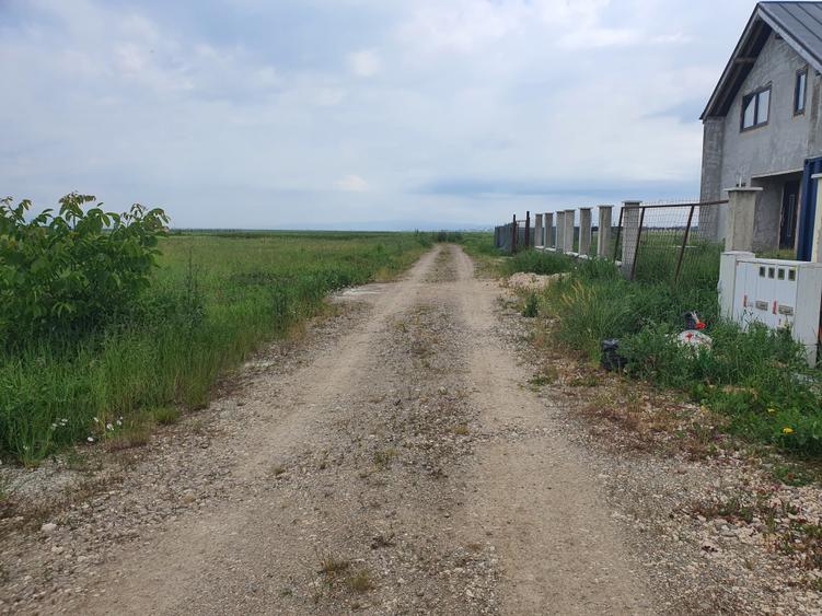 Lot casa Cristian Brașov - 5