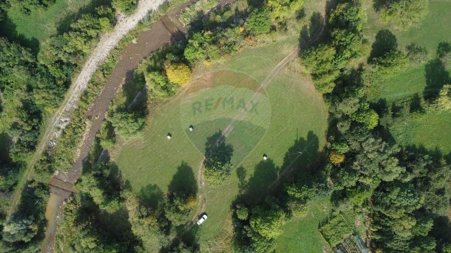 Teren 10.000 mp Calatele – Apuseni, langa rau, ideal investitie turism - 12