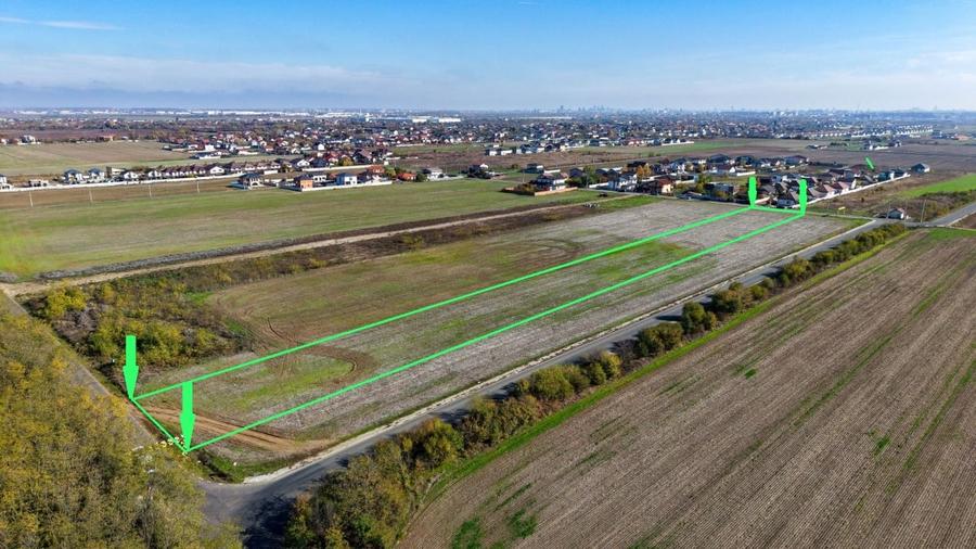 Dragomiresti Deal teren 6700 mp, padurea Ileana, utilitati, asfalt - 3