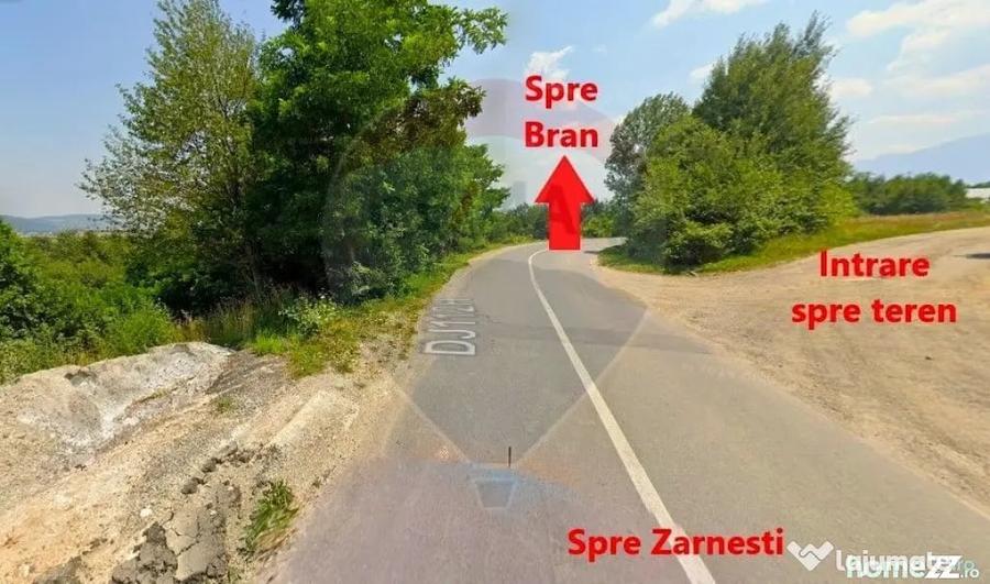 Teren în Tohănița