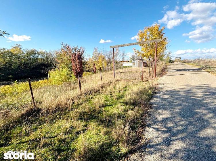 Teren de 5000 mp, în Albota