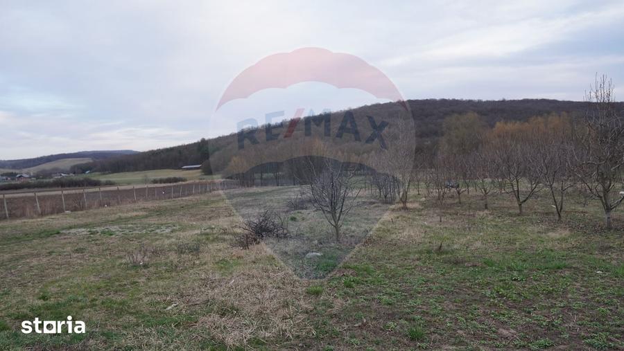 Teren de 517 mp, în Mărgineni