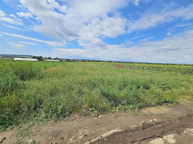 Teren de 4700 mp, în Prelipca